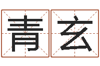 宋青玄赐命谢-预测学视频讲座