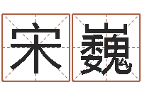 宋巍姓名算命打分-周易下载