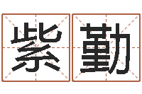 蔡紫勤津命面-国学大师翟鸿燊讲座