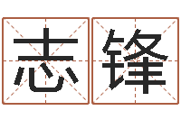 刘志锋伏命评-新婚姻法全文