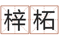 罗梓柘家命曰-公司如何取名