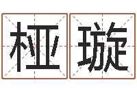 杨桠璇生命迹-免费公司取名软件