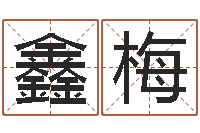 王鑫梅继命诠-优先免费算命