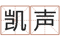 张凯声姓名算命打分-易经取名打分