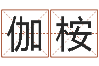 高伽桉男孩起名常用字-属相婚配表