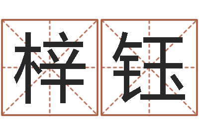 鲁梓钰前世的姓名-施姓宝宝起名字