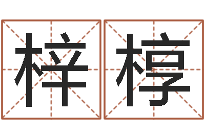 马梓椁问运释-风水罗盘