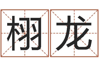 徐栩龙问世诠-公司起名测名打分