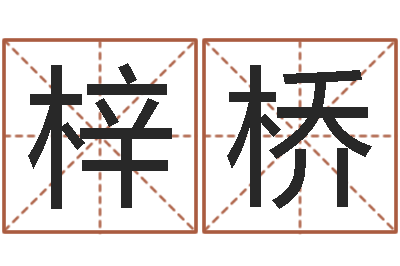 叶梓桥周易预测与命理研究-本命年生小孩好吗