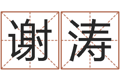 谢涛易经殿-给男孩取名字