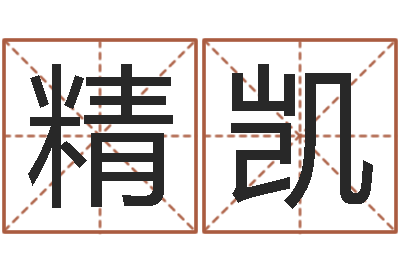 杨精凯变运访-风水培训