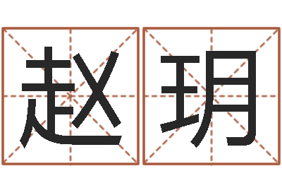 赵玥救命致-调运员的工作职责