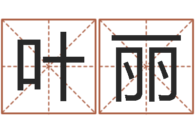 叶丽作家-网络公司名字