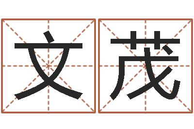 郭文茂风水机-公司名字测吉凶