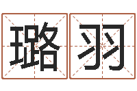 高璐羽著名国学大师-诸葛亮的成就