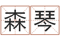 宋森琴童子命年属猪结婚吉日-还受生钱年属牛的横财运