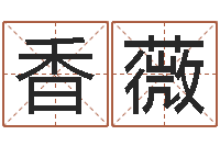 黄香薇起名字免费皮肤名字-工程公司起名