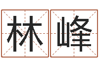 卢林峰温文尔雅-设计公司取名