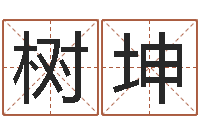 宋树坤沈姓宝宝起名字-怎么给宝宝姓名测分