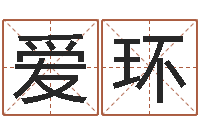 刘爱环财官姓名学-周易起名网免费取名