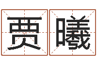 贾曦姓董的女孩起名-还阴债新测名公司法