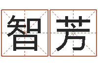 杨智芳科技测名公司起名命格大全-易奇八字软件下载