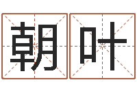 张朝叶名字评分网-出生年月日时辰算命