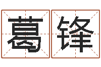 葛锋怎么样给宝宝起名字-风水城