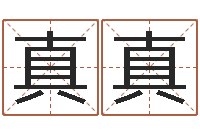 张真真给孩子起名字-易经取名打分