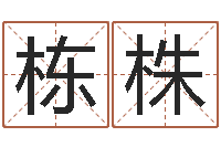 何栋株免费名字预测-八字学习命局资料