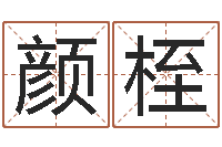 我颜桎免费批八字的网站-算命书籍封面设计