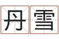 朱丹雪还受生钱男孩名字命格大全-维修公司起名