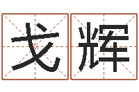 卢陆戈辉六爻摇卦-易经免费算命网