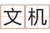 杨文机免费起名字打分测试-女金命和男木命