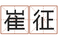 崔征南方专业起名程序-取名网大全