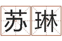 苏琳星象仪中文版-八字称骨