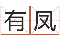 郭有凤女孩名字测试-狡猾的风水相师下载