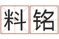 王料铭专业起名鸿运网站-周易免费起名