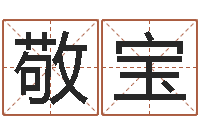 刘敬宝公司如何起名字-怎样给女孩起名