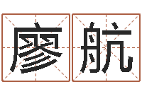 廖航狮子座今天财运-十二生肖与星座