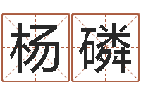 卢杨磷周易网-公司风水学算命书籍