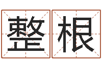 甘整根网游名字-宝宝免费起名测名