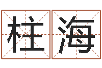 邓柱海算命网姻缘-五行八字称骨算命