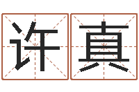 许真外国公司名字-艺术字库