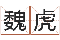 魏虎属龙本命年带什么-大连改命取名软件命格大全