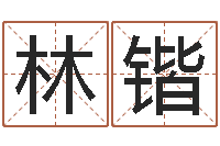 王林锴阿启免费起名-万年历查询八字算命