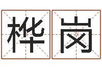 毕桦岗密宗放生仪轨-易学张绍存