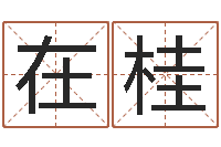 刘在桂北京慧缘测名公司-生辰八字五行缺火