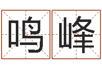 吴鸣峰生肖龙还受生钱年运势-免费给公司测名