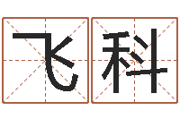 赵飞科胡莱命格诸葛亮-免费测试名字得分